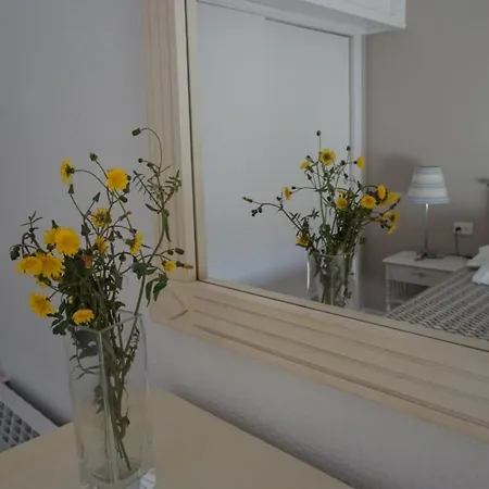 Apartament Muralla Apartment
